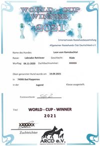 9 Urkunde World-Cup-Winner 2021